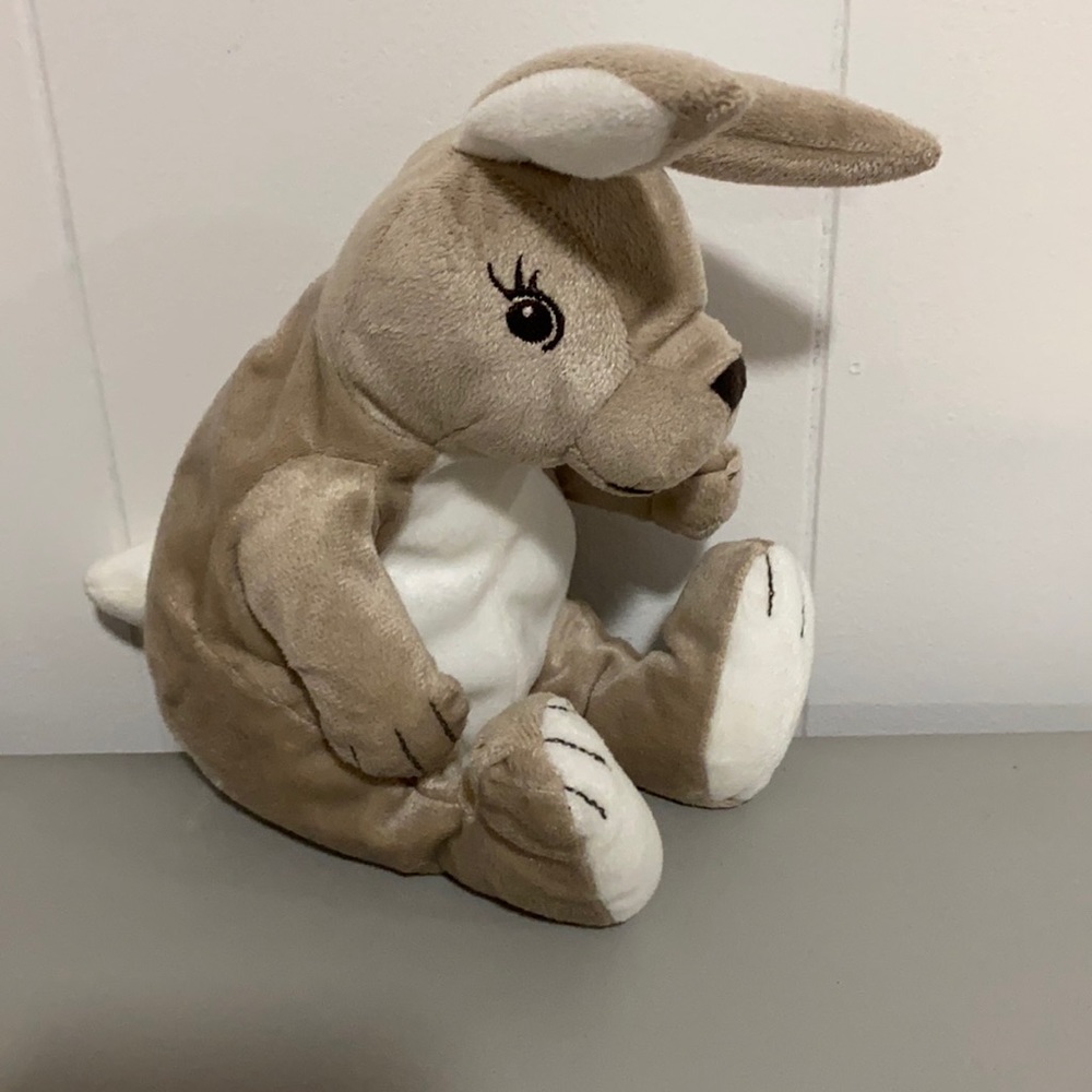 Super cute bunny
